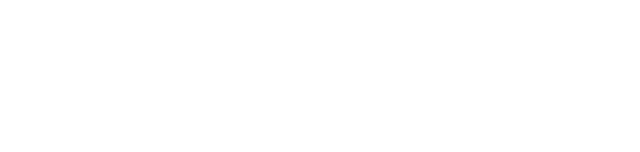 logo novo pv branco menor